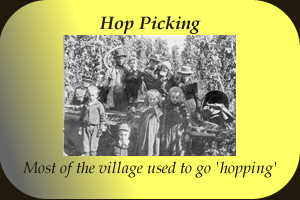 Hop picking
